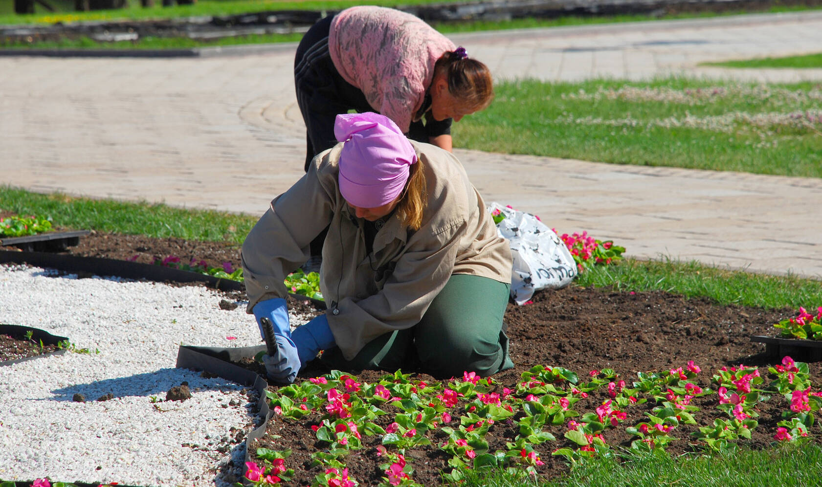 Более 4,5 тыс. цветов в этом году высадят в районе Западное Дегунино, фото