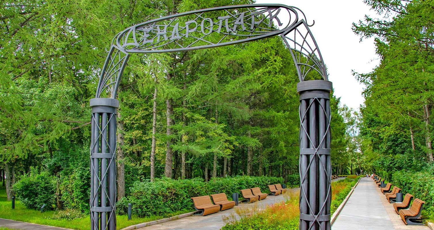 Дендропарк: где в Зеленограде можно посмотреть на редкие растения, фото