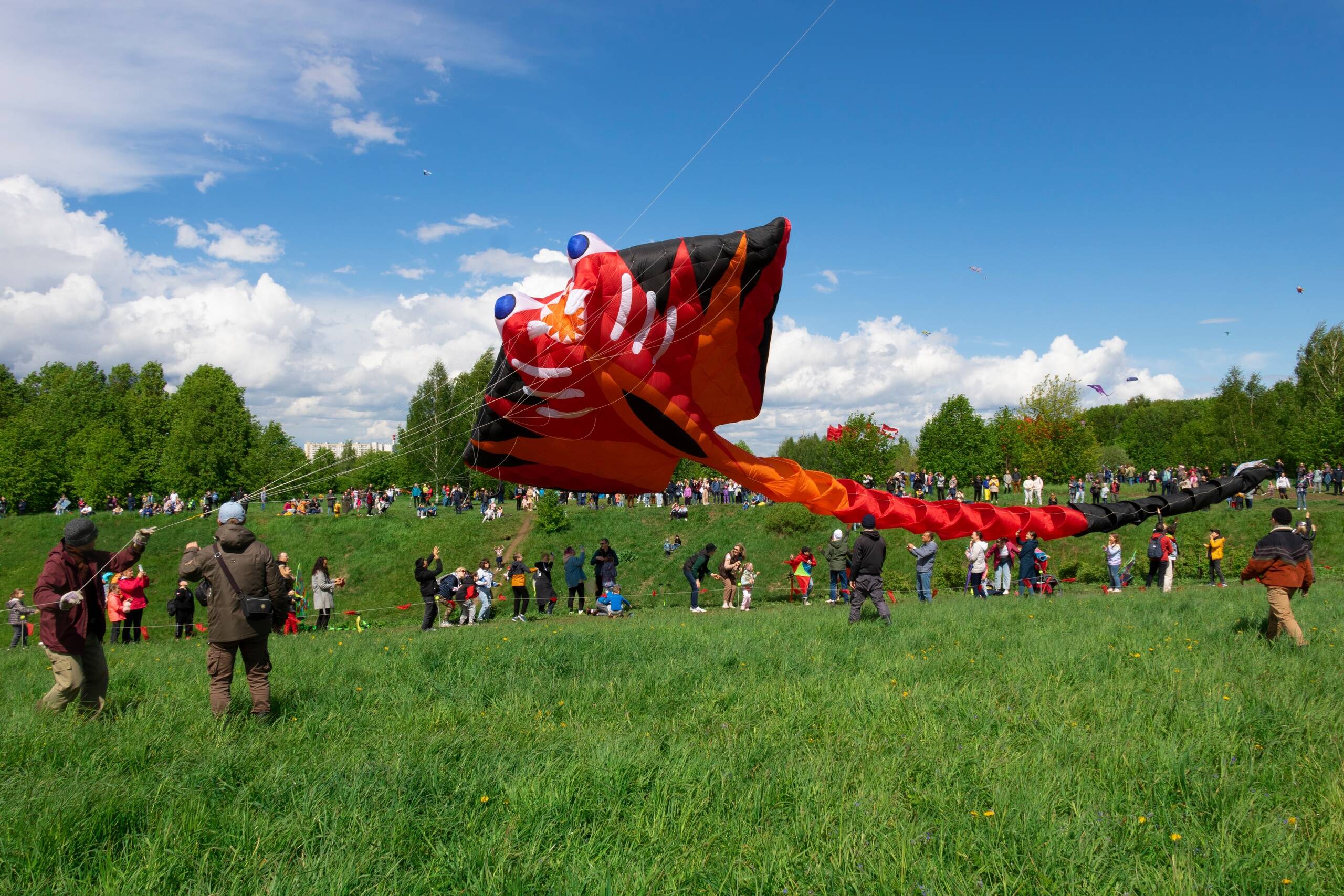 Фестиваль воздушных змеев «Пёстрое небо» в Царицыно