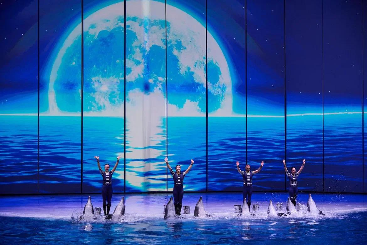 Премьера в «Москвариуме»: Шоу на воде «Буря. Остров волшебства», фото