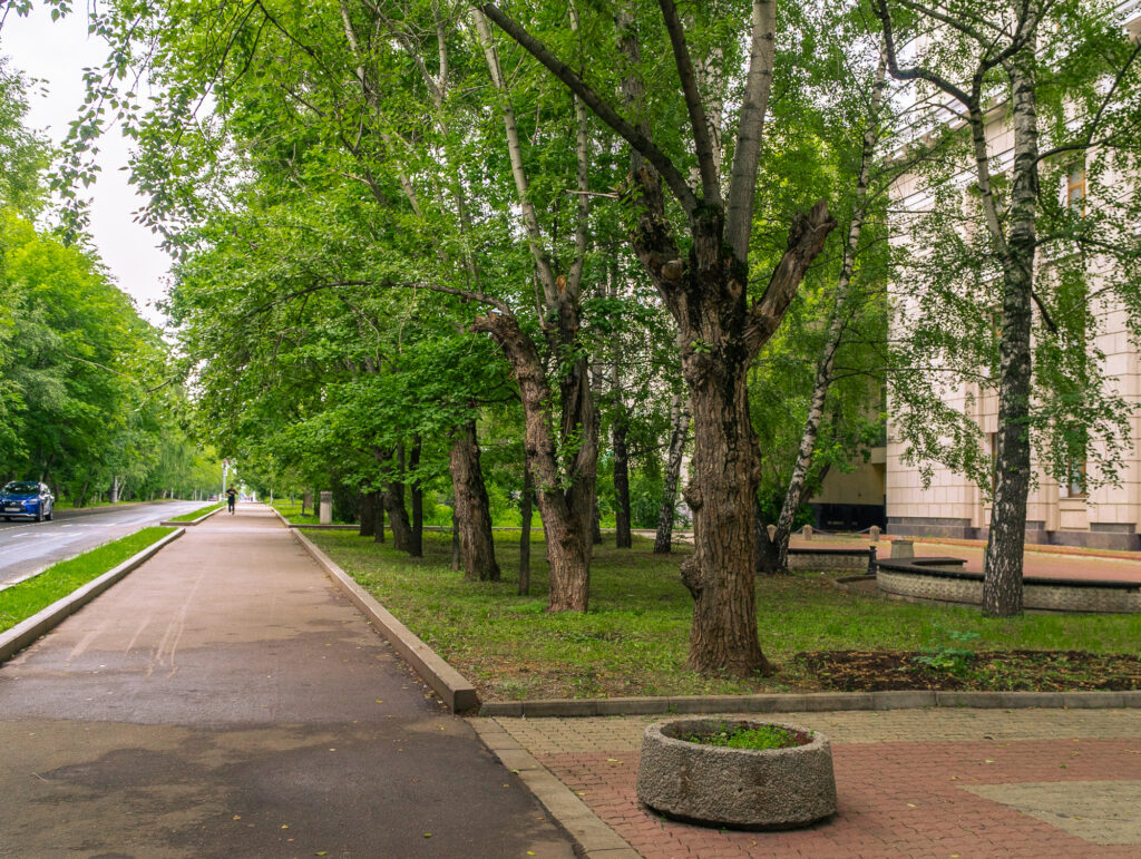 Университет — Ломоносовский проспект: аллея правды, аллея любви, аллея для гонок  фото