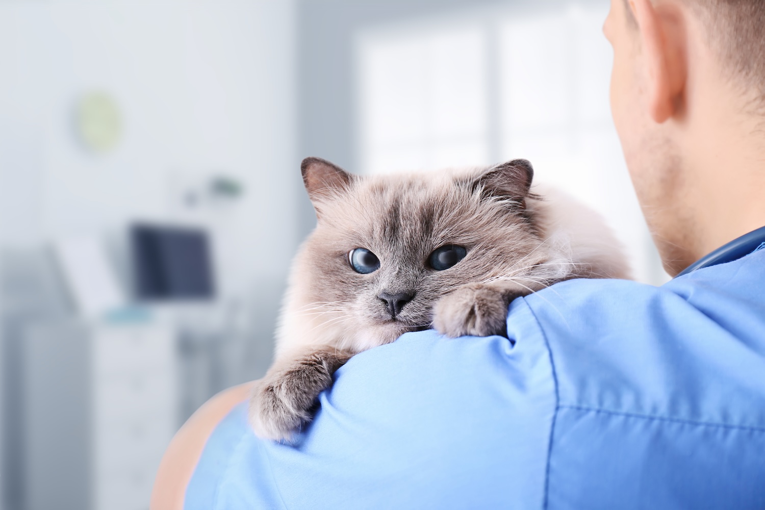 Московское предприятие выпустило четыре новые вакцины для животных, фото