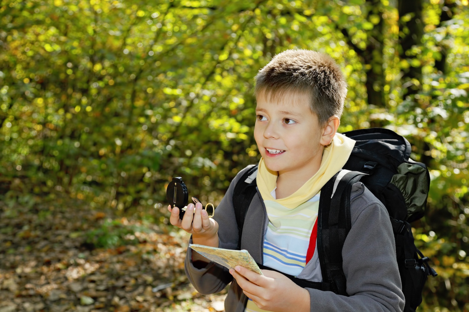 Детей и подростков научат ориентироваться по компасу и карте в парке «Дубки», фото