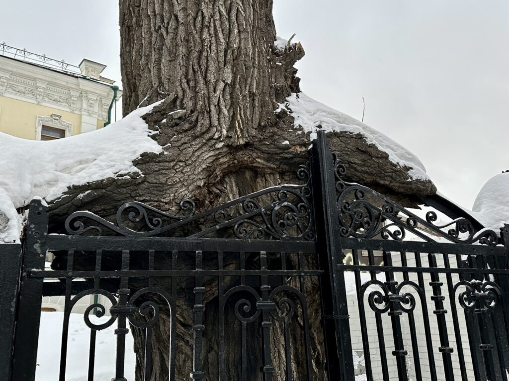 Тверская ‒ Арбатская: достопримечательности центра Москвы