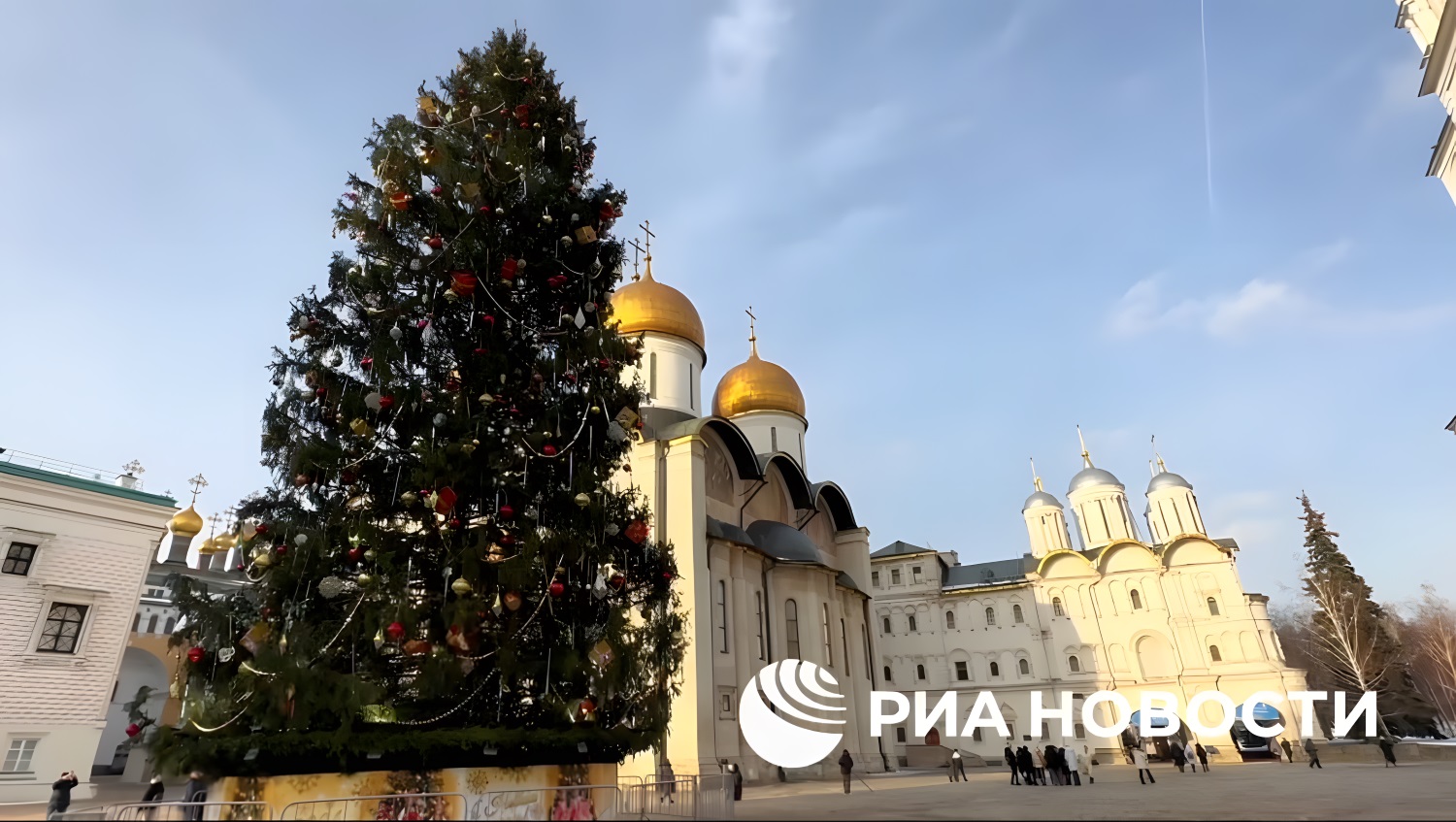 На Соборной площади Кремля установили главную елку страны | 22.12.2023 |  Москва - БезФормата