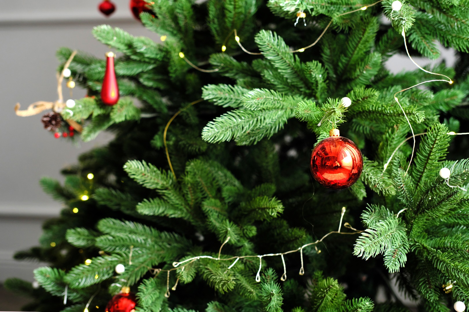 Как ухаживать за новогодней елкой: советы дендролога, фото