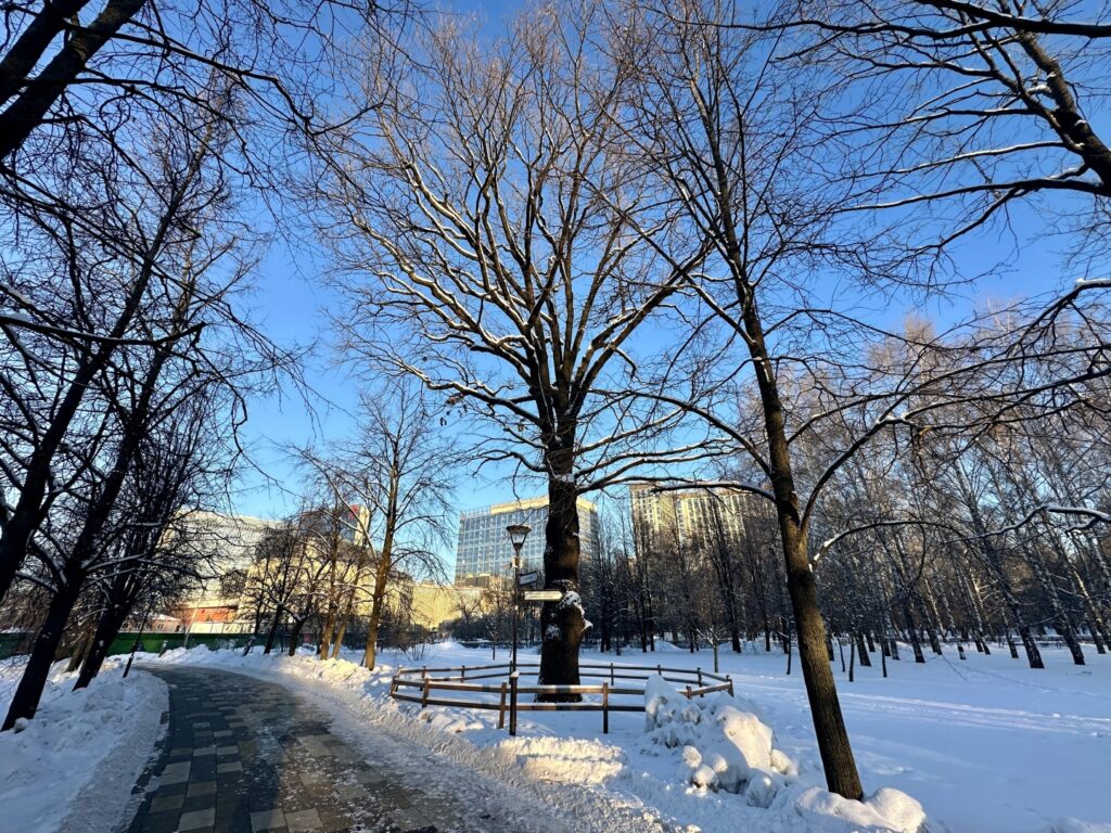 Ботанический Сад — ВДНХ: рабочий, колхозница и Эйфелева башня  фото