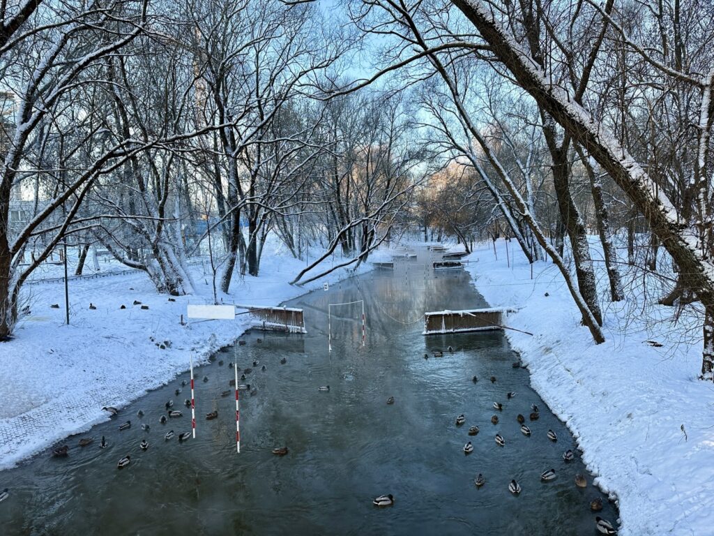 Ботанический Сад — ВДНХ: рабочий, колхозница и Эйфелева башня  фото