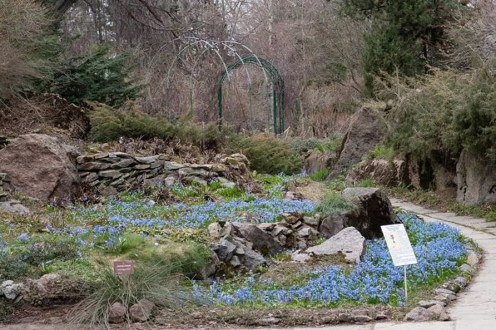 Новый сезон в Ботаническом саду МГУ на Ленинских горах стартует 16 апреля, фото