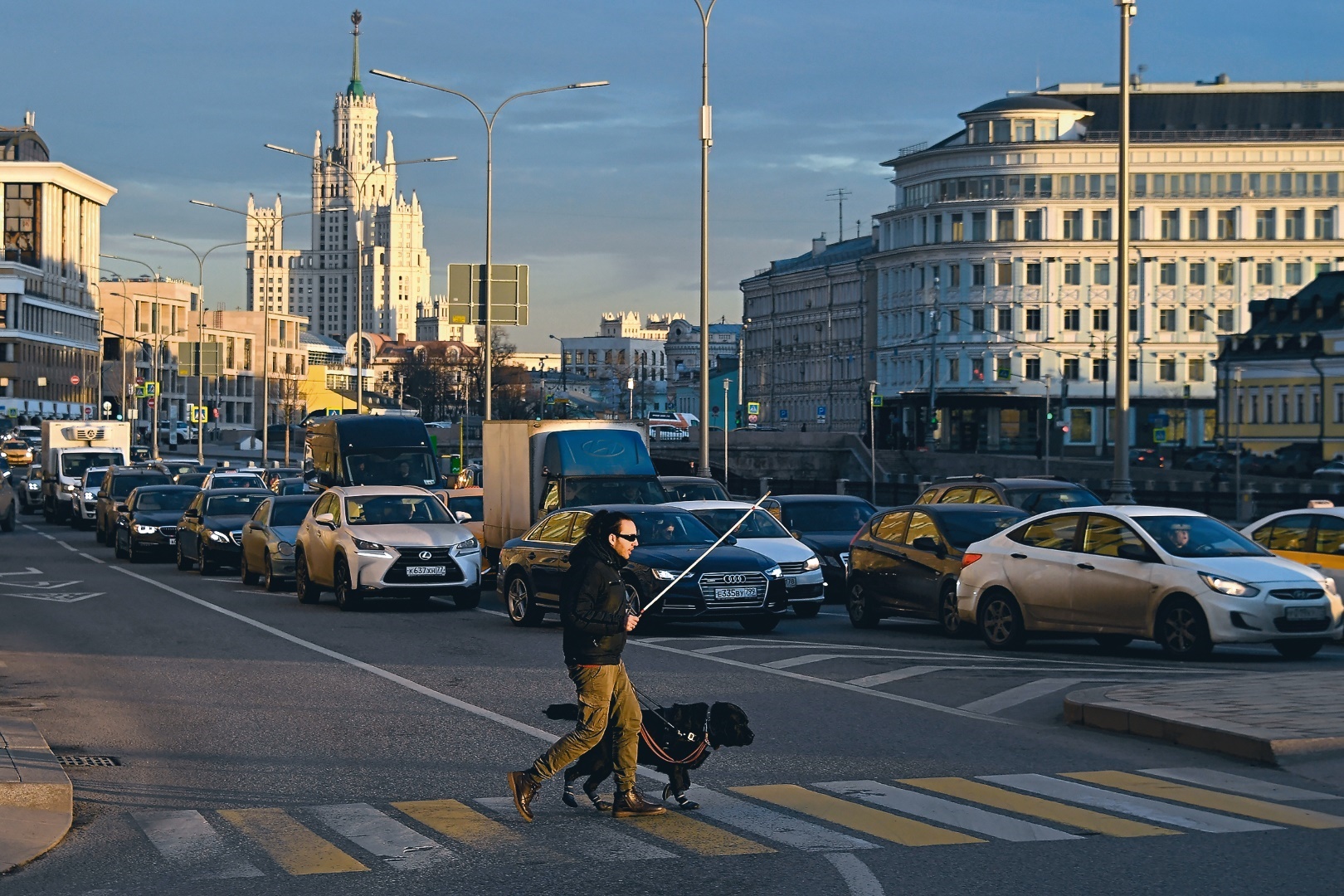 Москвичам рассказали, как город заботится о собаках-поводырях, фото