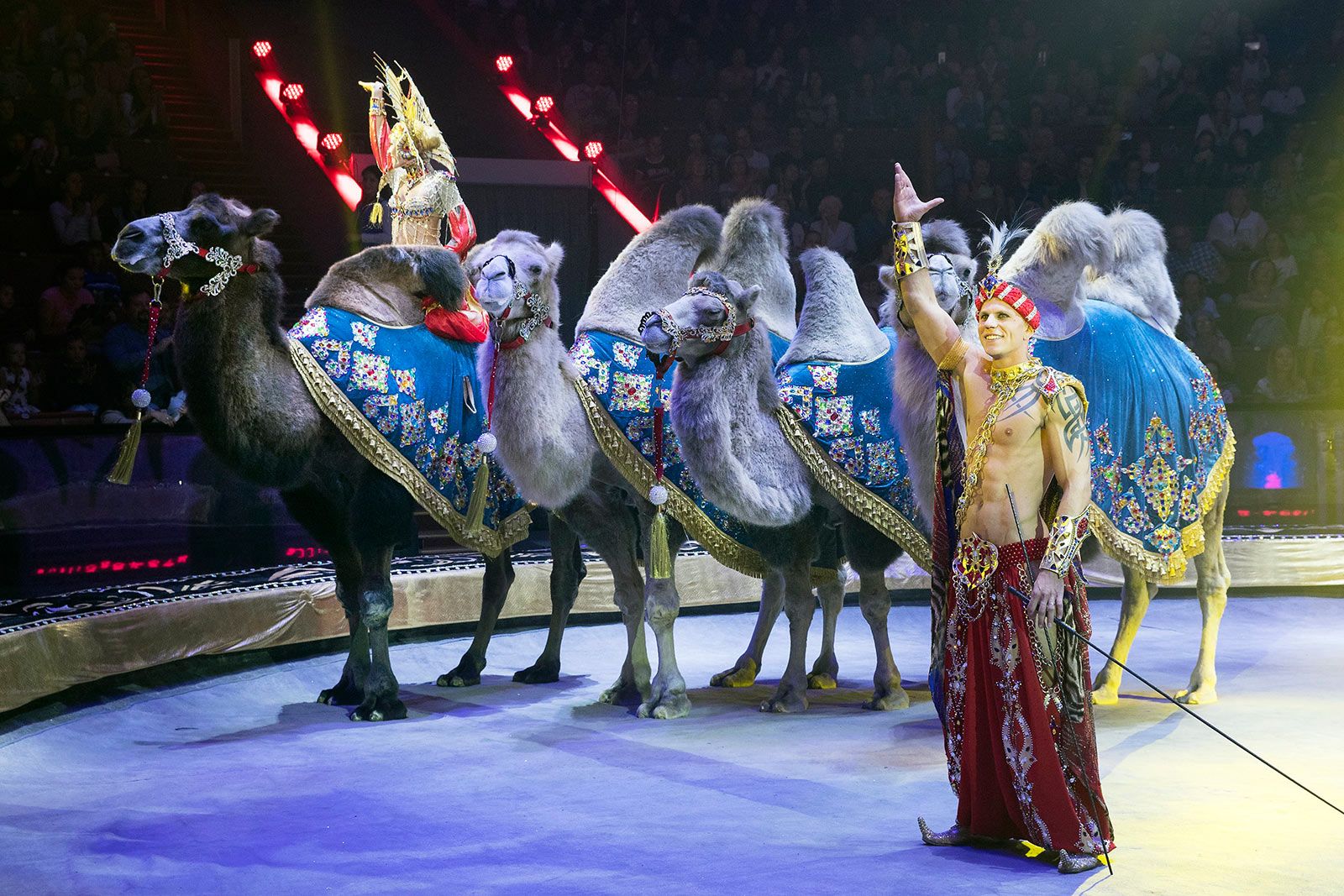 В столице пройдет фестиваль циркового искусства «Идол»