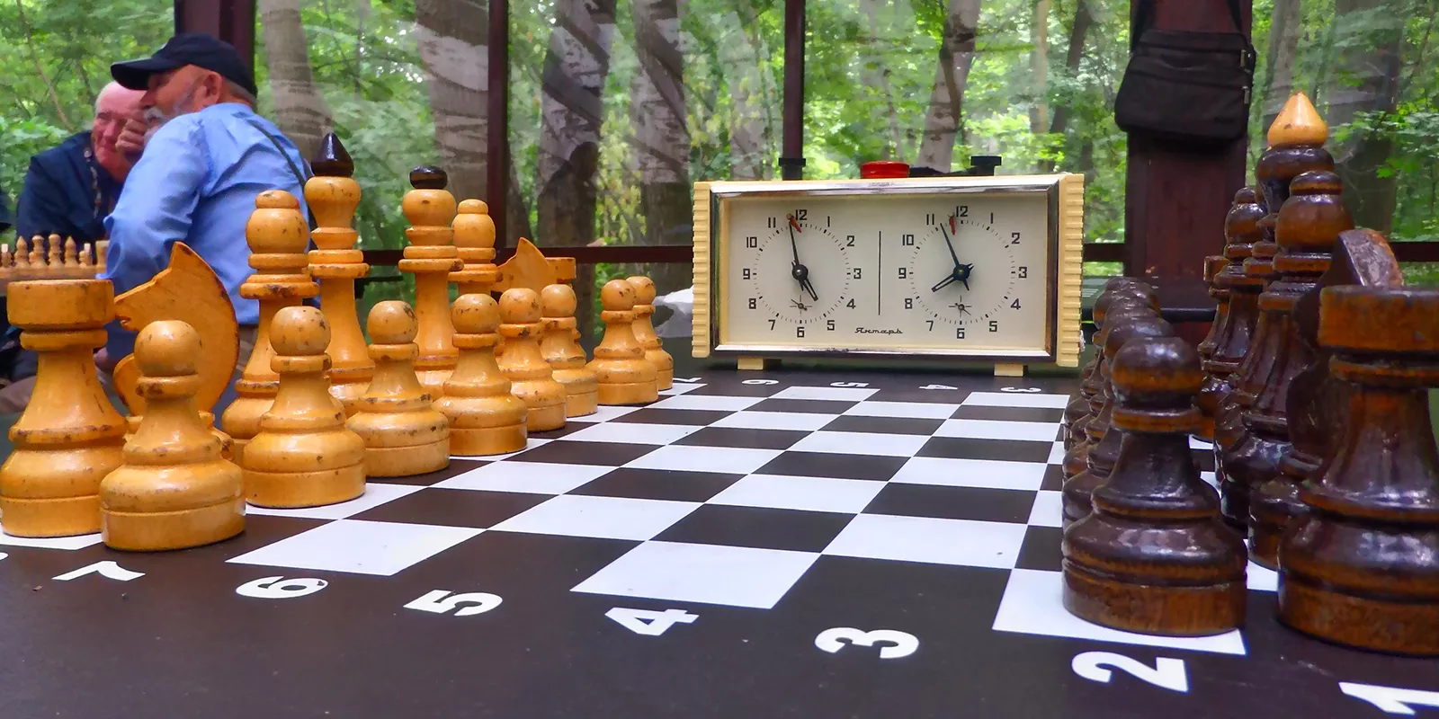 Международный день шахмат отпразднуют 19 июля в Печатниках