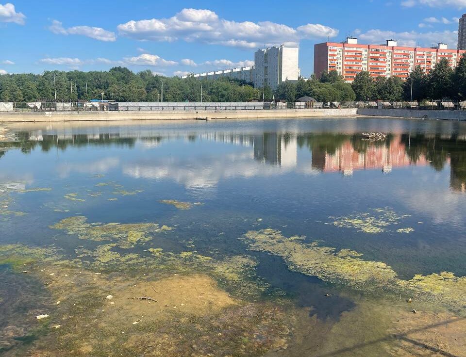 В районе Вешняки очистят пруд «Радуга-2»