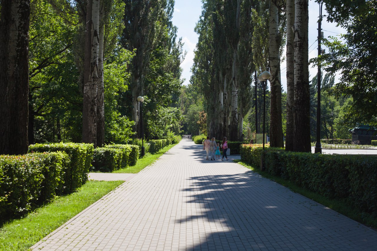 Урок от ландшафтного дизайнера проведут 3 октября в Измайлово, фото