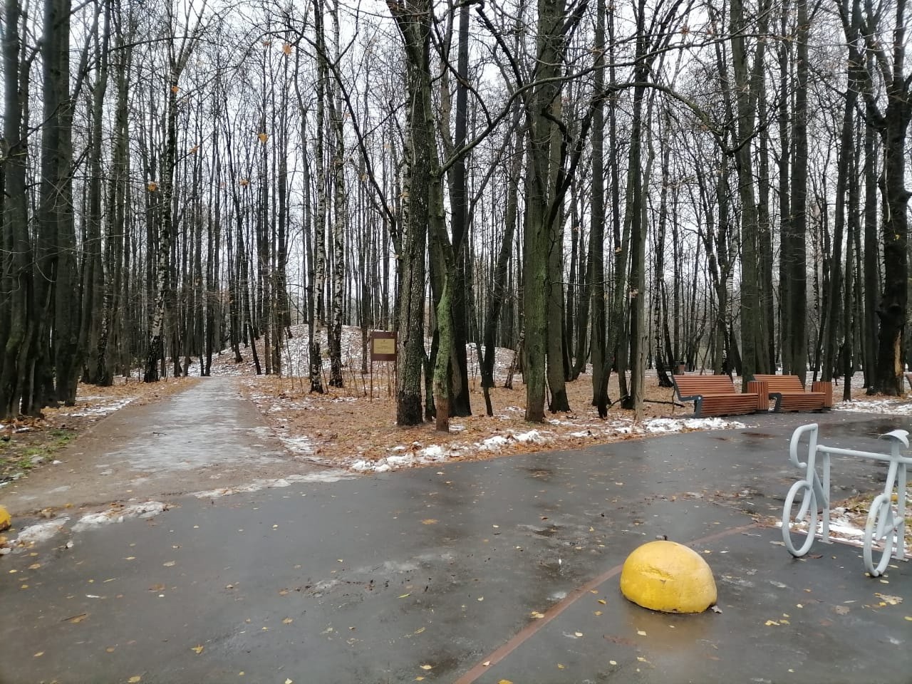 Зимние прокаты с трассами откроют в Ясенево, фото