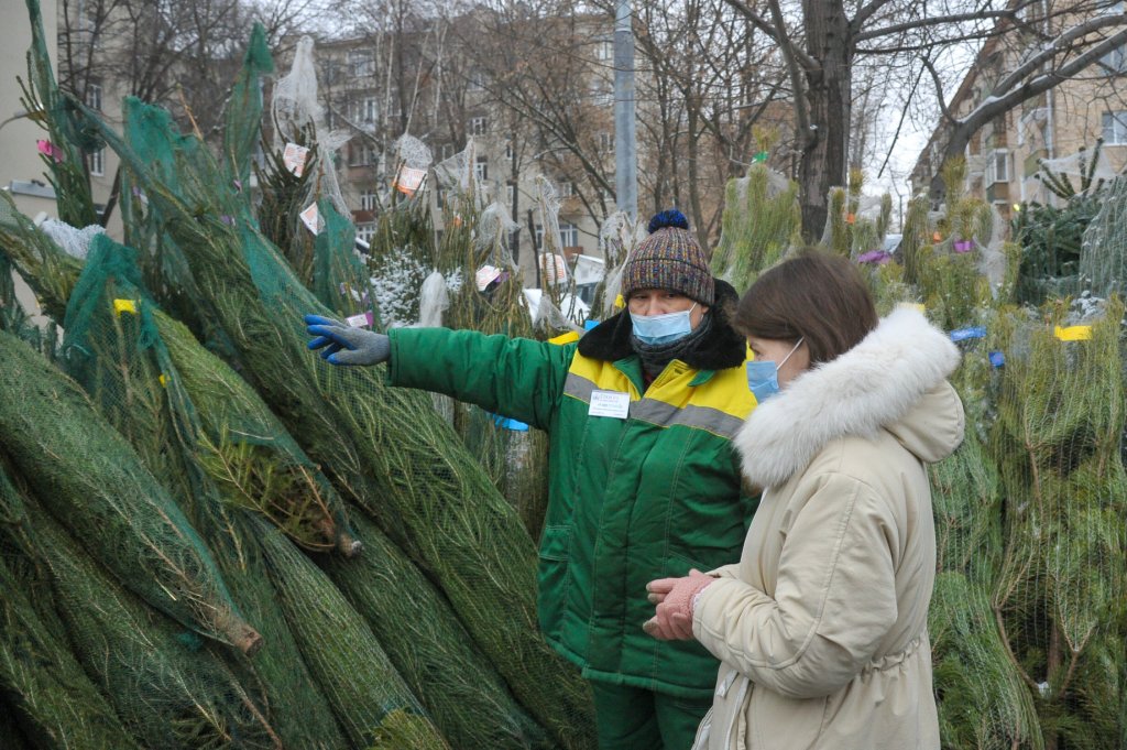 Жителей Рязанского пригласили на праздничные активности, фото