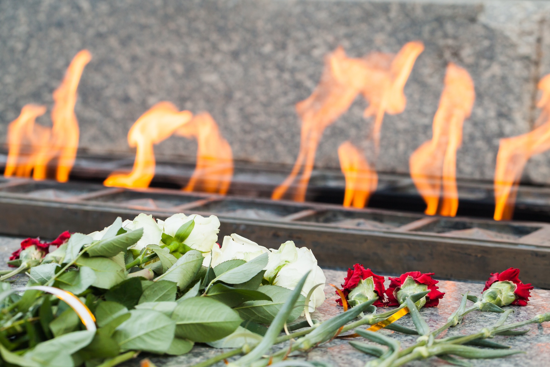 Подготовка памятных мест ко Дню Победы стартовала в Новой Москве, фото