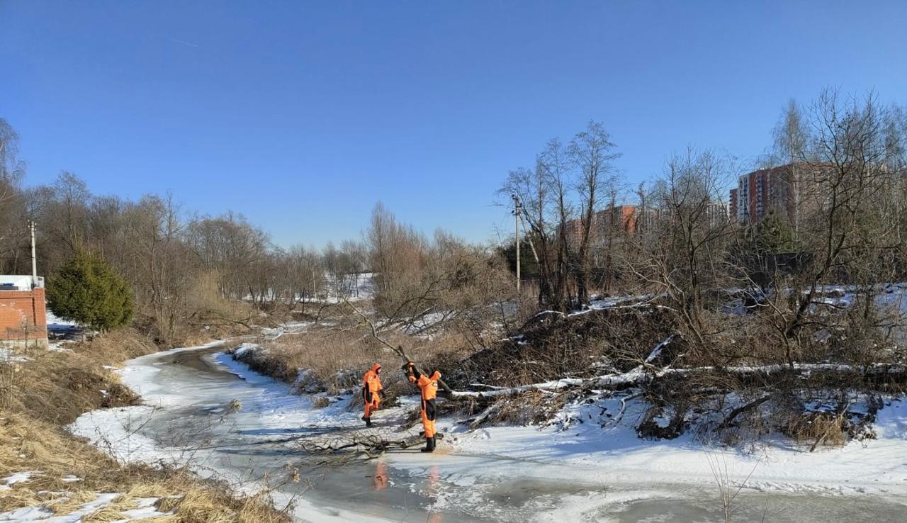 В Троицке очищают русло реки Десны в целях безопасности, фото