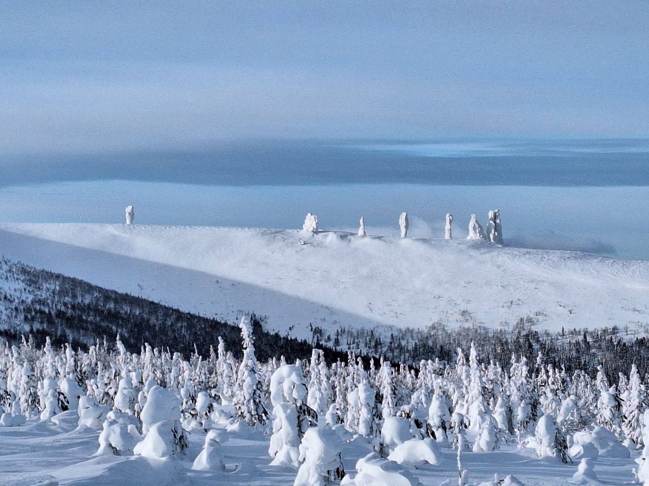 Лекцию об арктическом туризме прочтут в Отрадном, фото