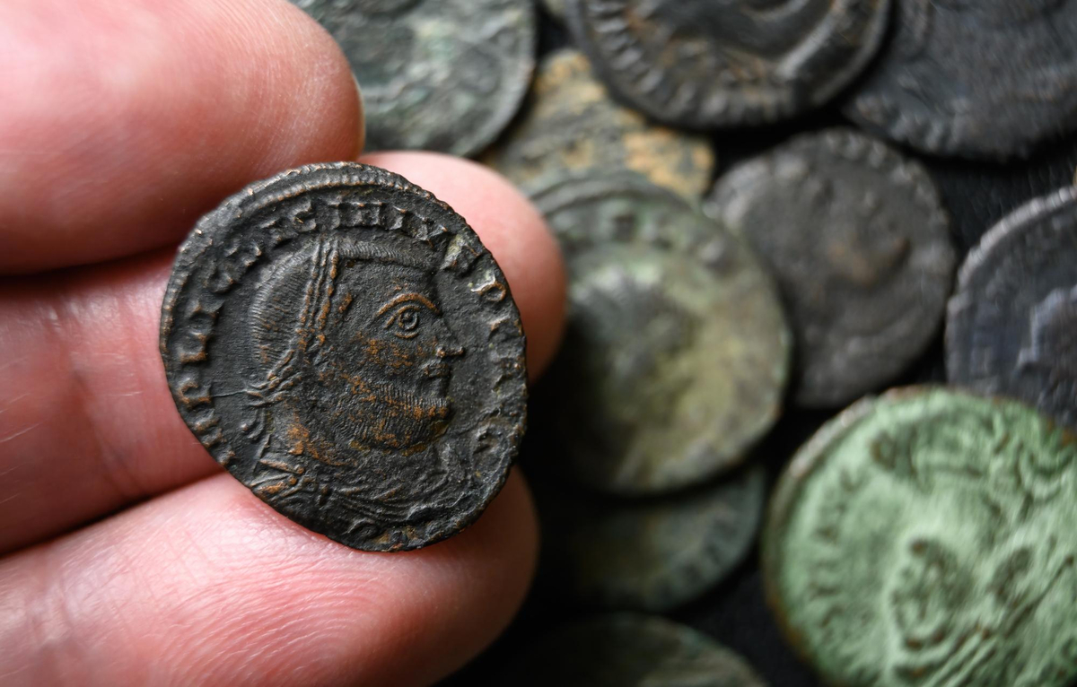 Занятие по истории появления денег пройдет для детей в Ломоносовском, фото