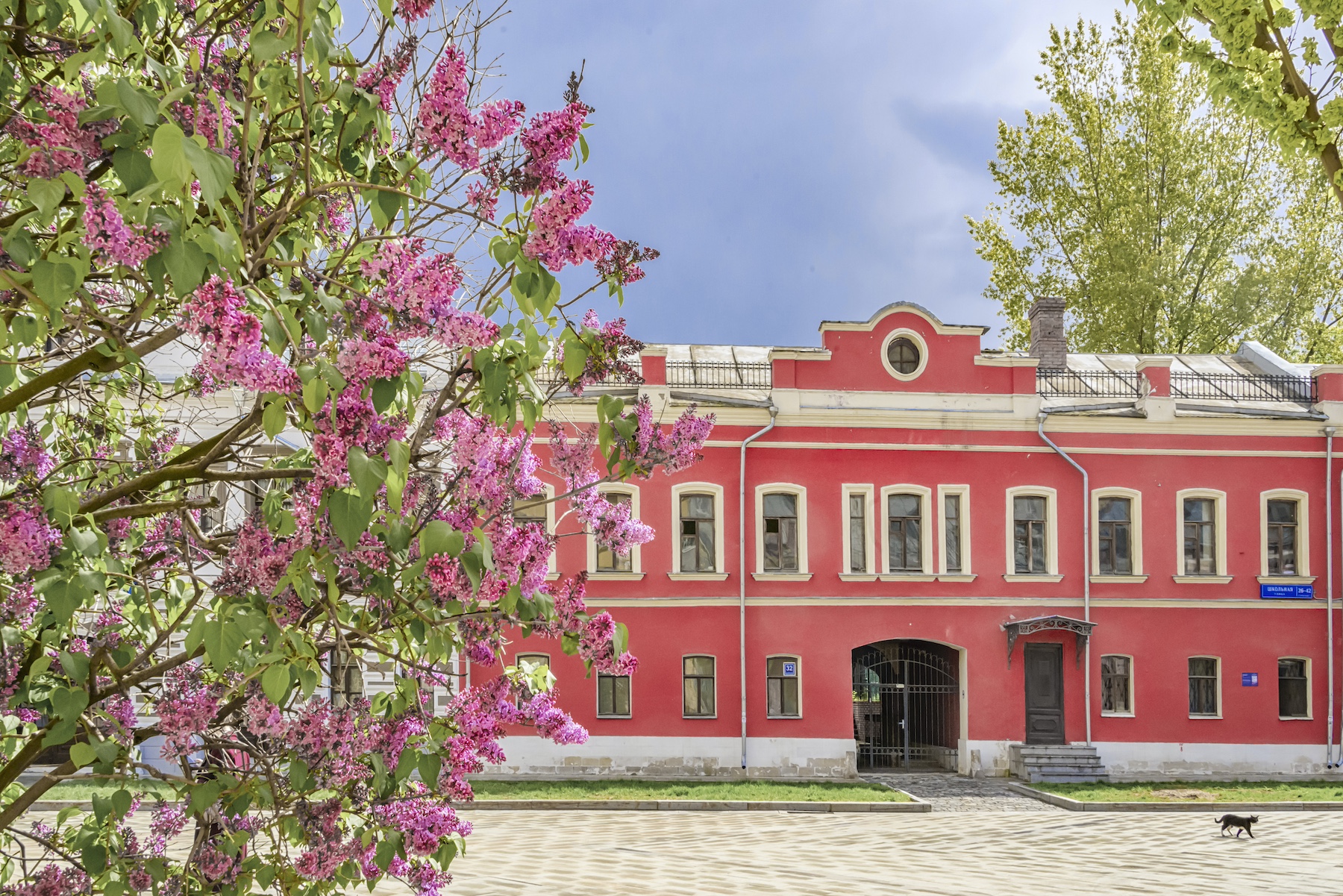Вишни, сирени и гортензии: как преобразятся дворы Таганки, фото