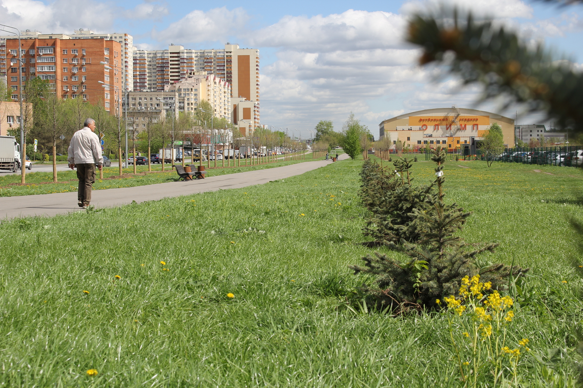 «Аллею Героев» расширят в Новокосино в честь 80-летия Победы, фото