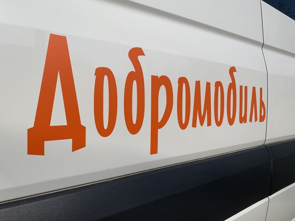 Сбор помощи бездомным животным организуют в Матушкино, фото