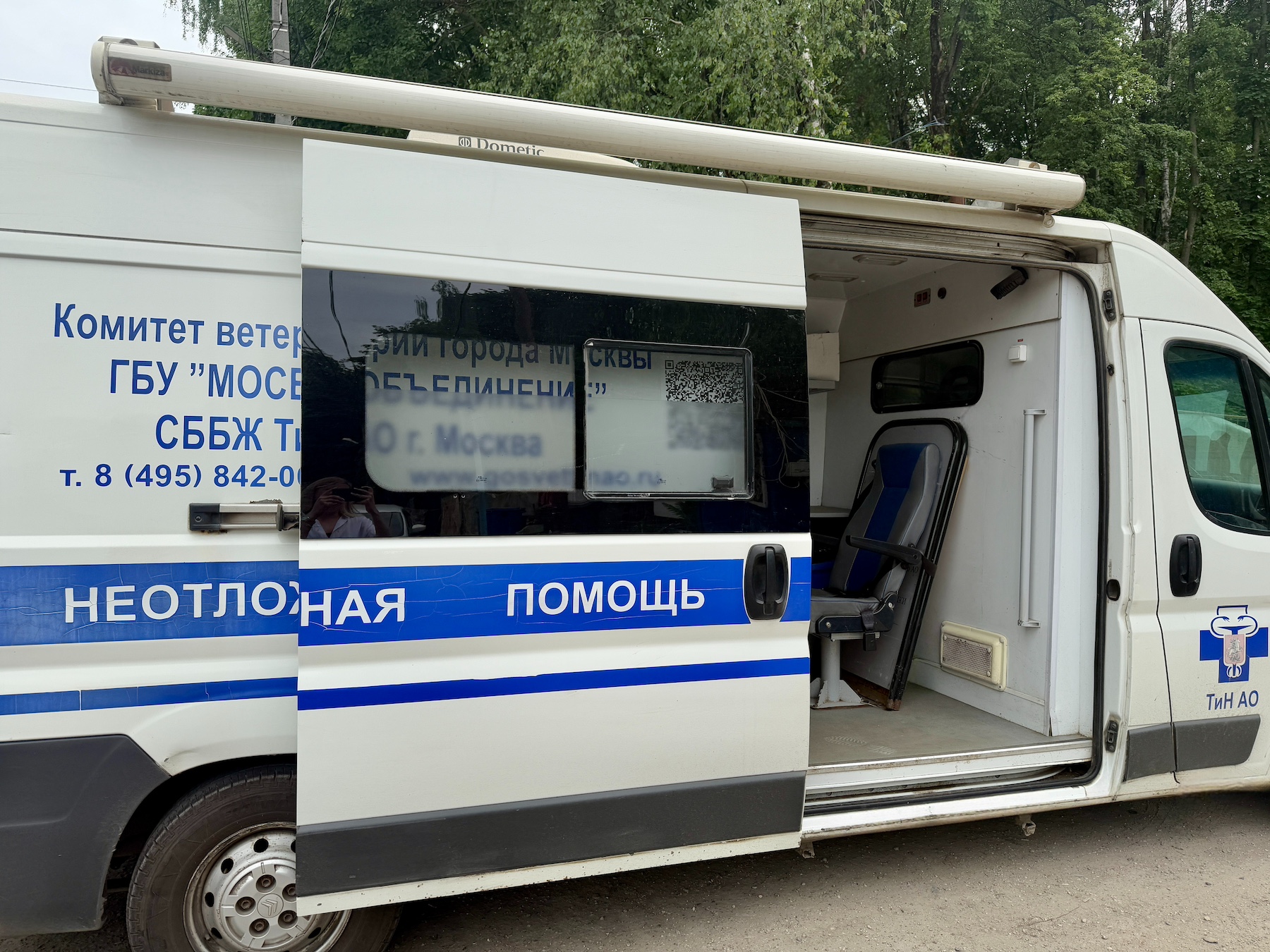 Вакцинация животных от бешенства пройдет в районе Вороново, фото