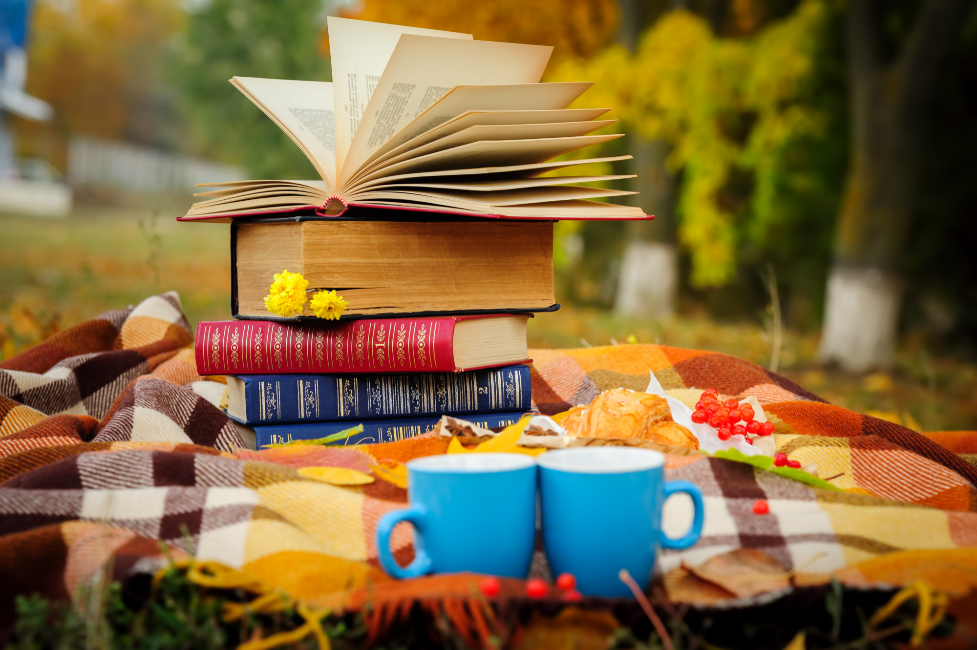 «Летний книжный пикник» пройдет в Текстильщиках, фото