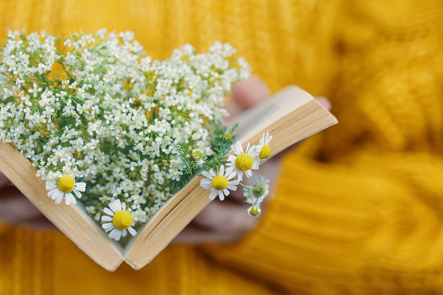Книжные пикники, игротеки и лекции о музыке пройдут в библиотеках Текстильщиков, фото