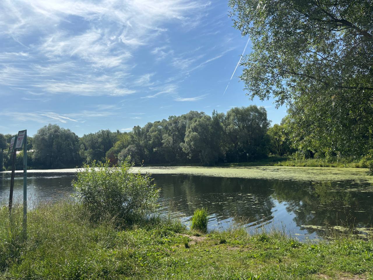 Экскурсия по знаковым местам пройдет в Богородском, фото