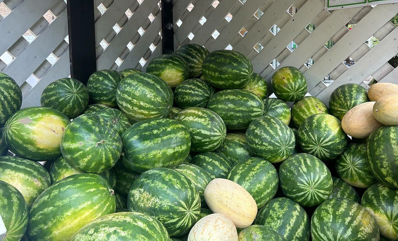Официальные точки продаж бахчевых открылись в ЮЗАО, фото