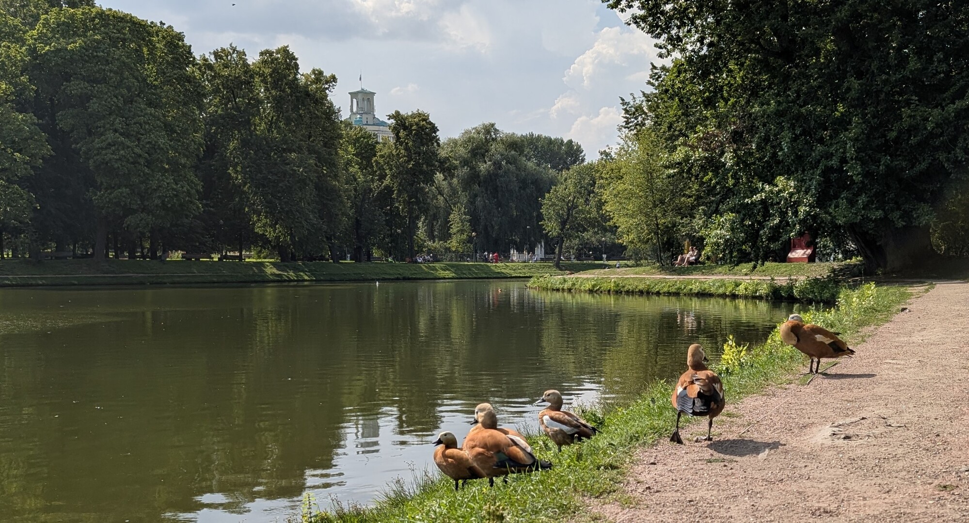 Авторская экскурсия по парку пройдет в Мещанском районе, фото