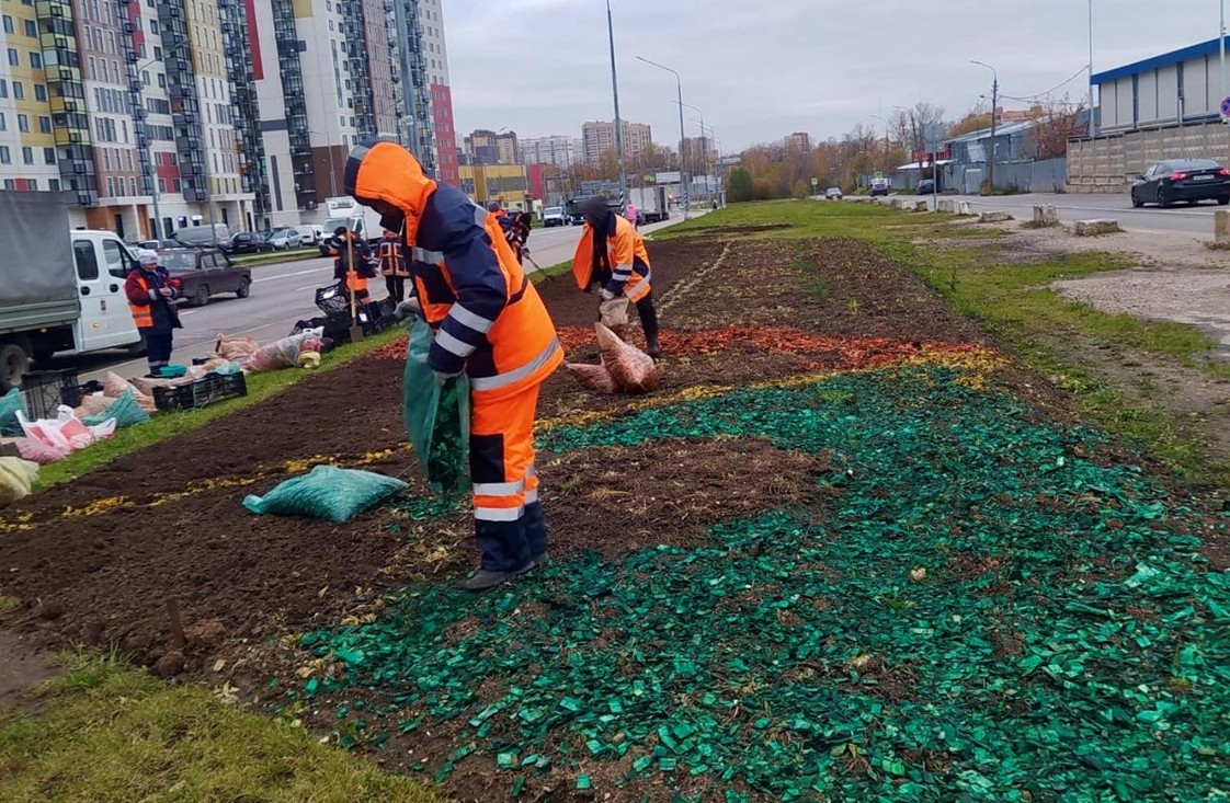 Более 85 тысяч тюльпанов высадят в Северном до конца октября, фото