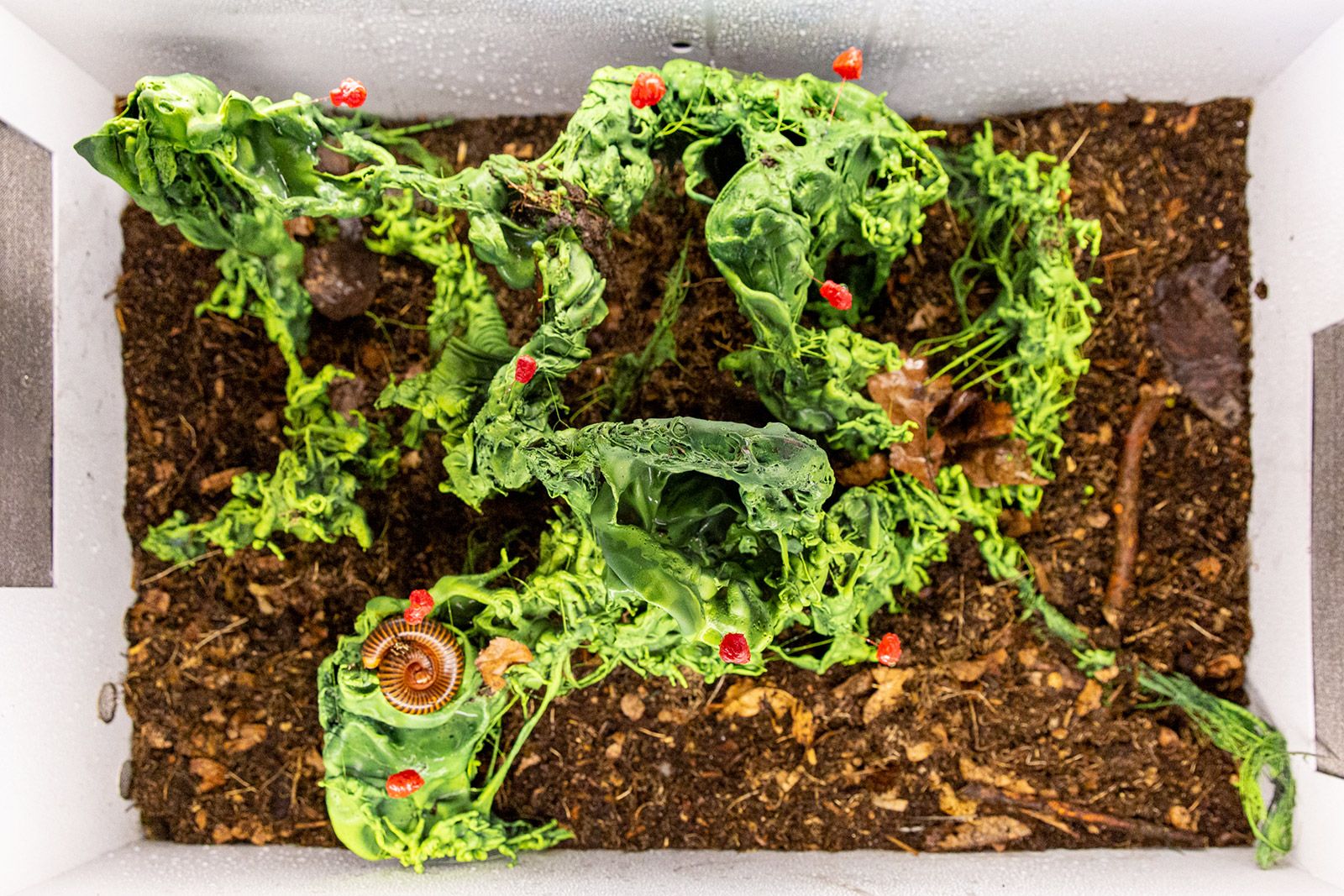 ВДНХ приглашает школьников на осенние занятия по ботанике и зоологии, фото