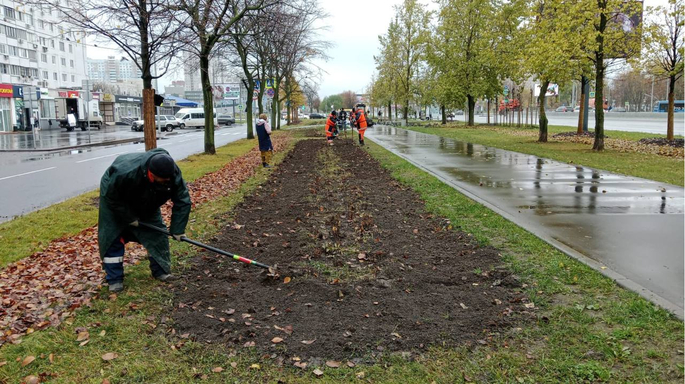 Более 200 тысяч тюльпанов высадили на улицах и в скверах Алтуфьевского, фото