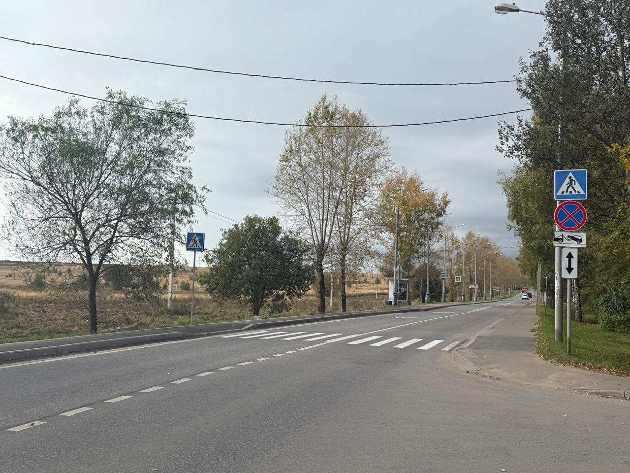 Новый пешеходный переход появился на Баскаковской улице в Щербинке, фото