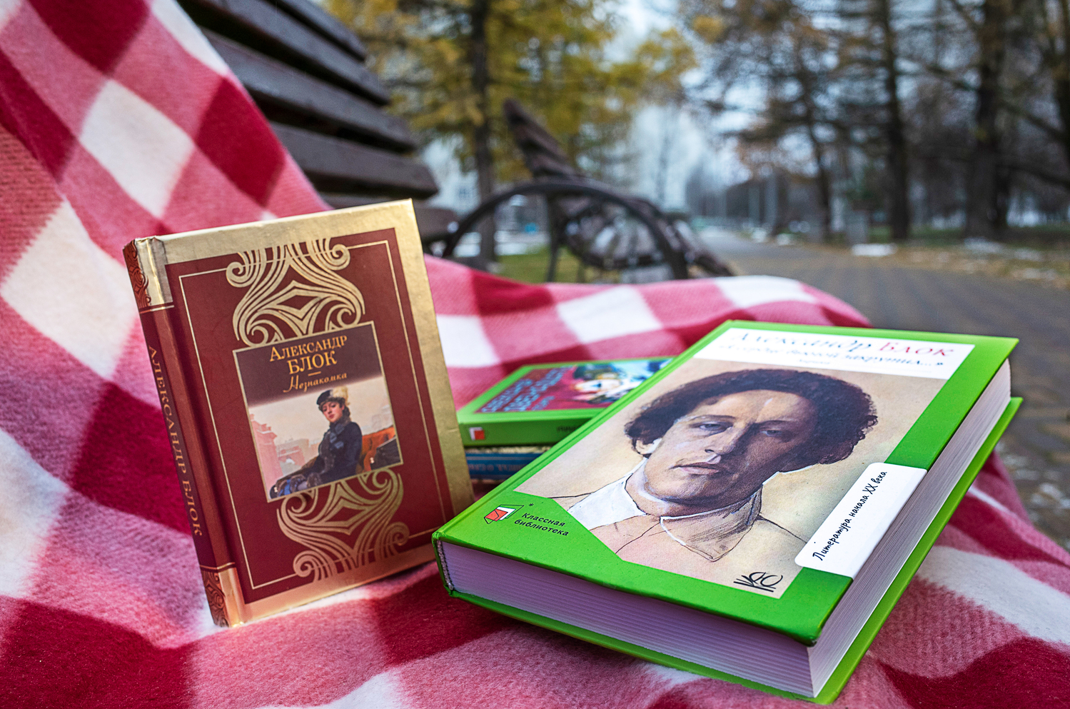 Стихи Блока прозвучат на литературном вечере в Зеленограде, фото