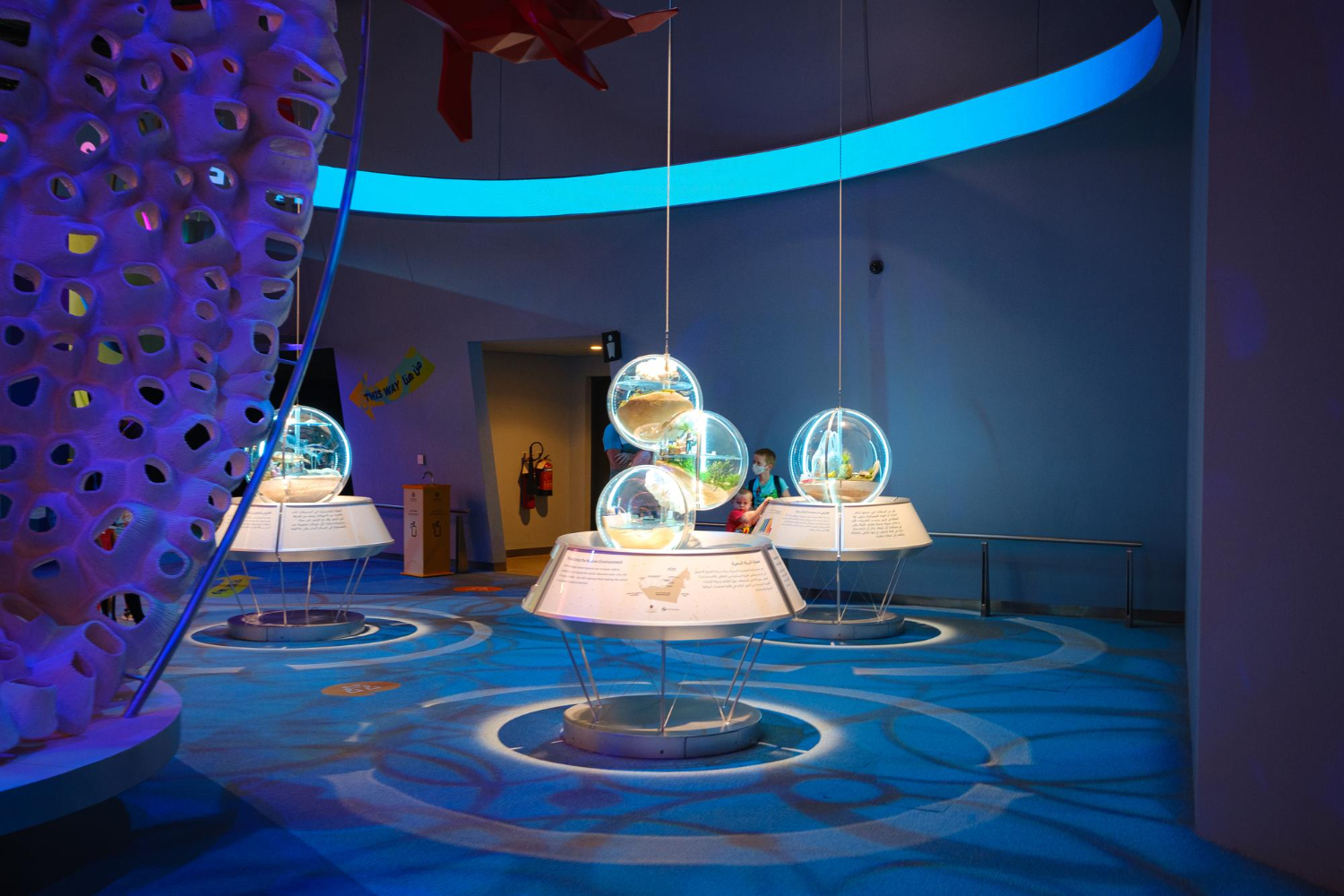 Футурологическая выставка будет работать в Соколе до 30 ноября, фото