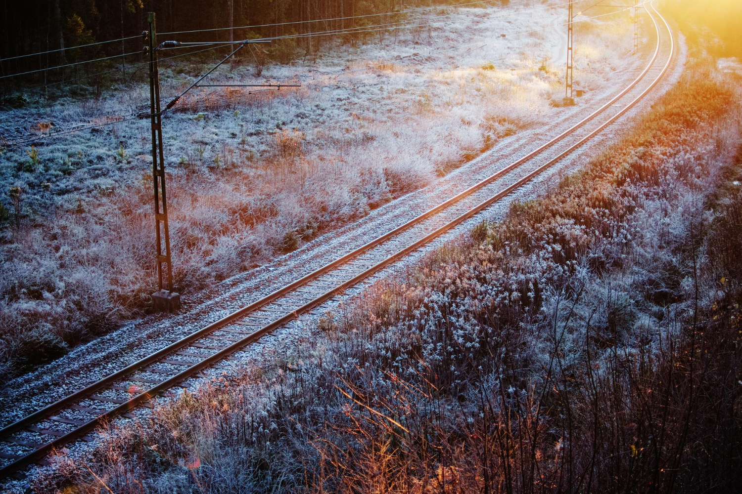 Из-за погоды возникли проблемы на Московской железной дороге, фото