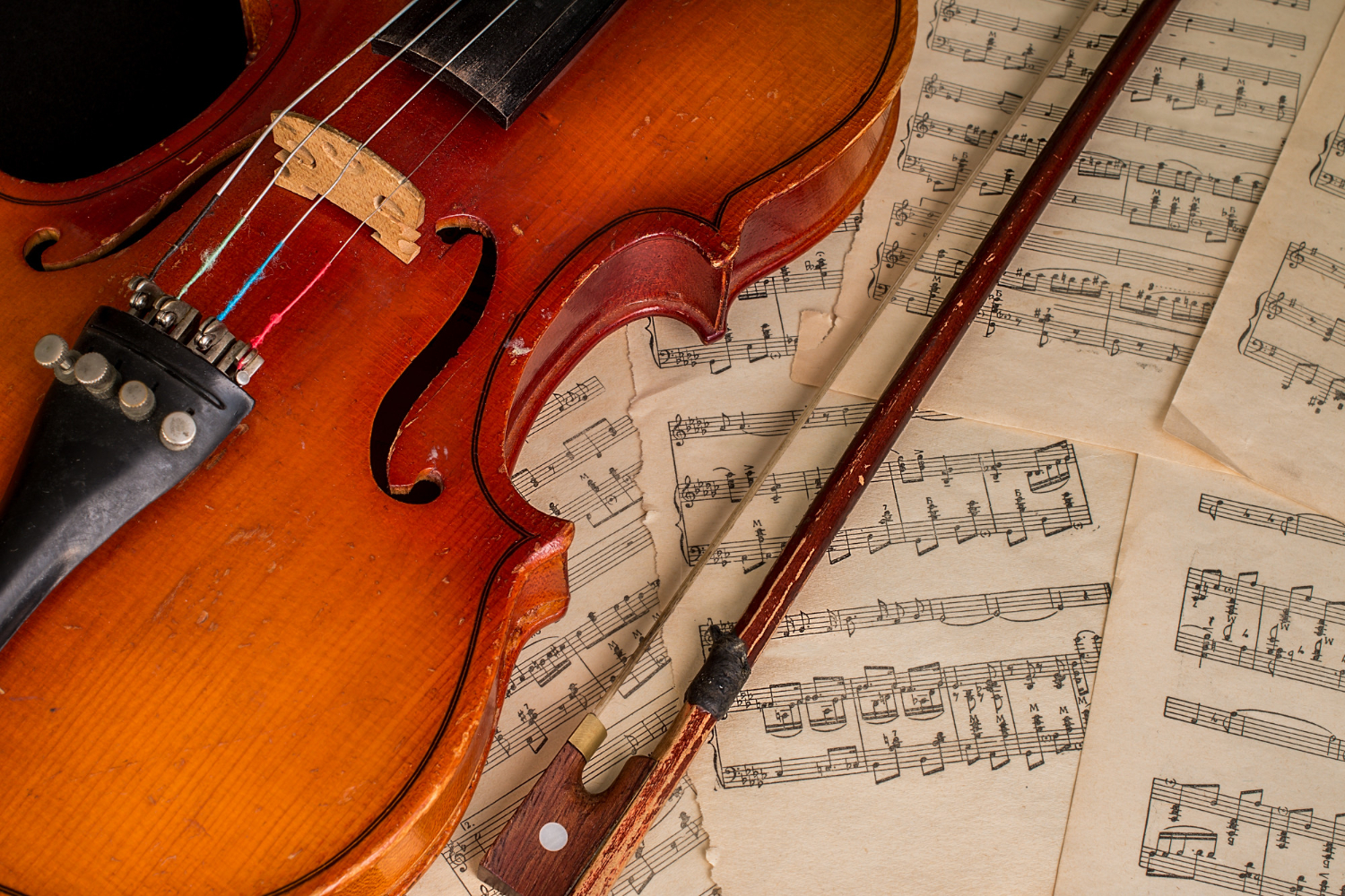 Концерт классической музыки и лекция об искусстве пройдут в Вешняках, фото