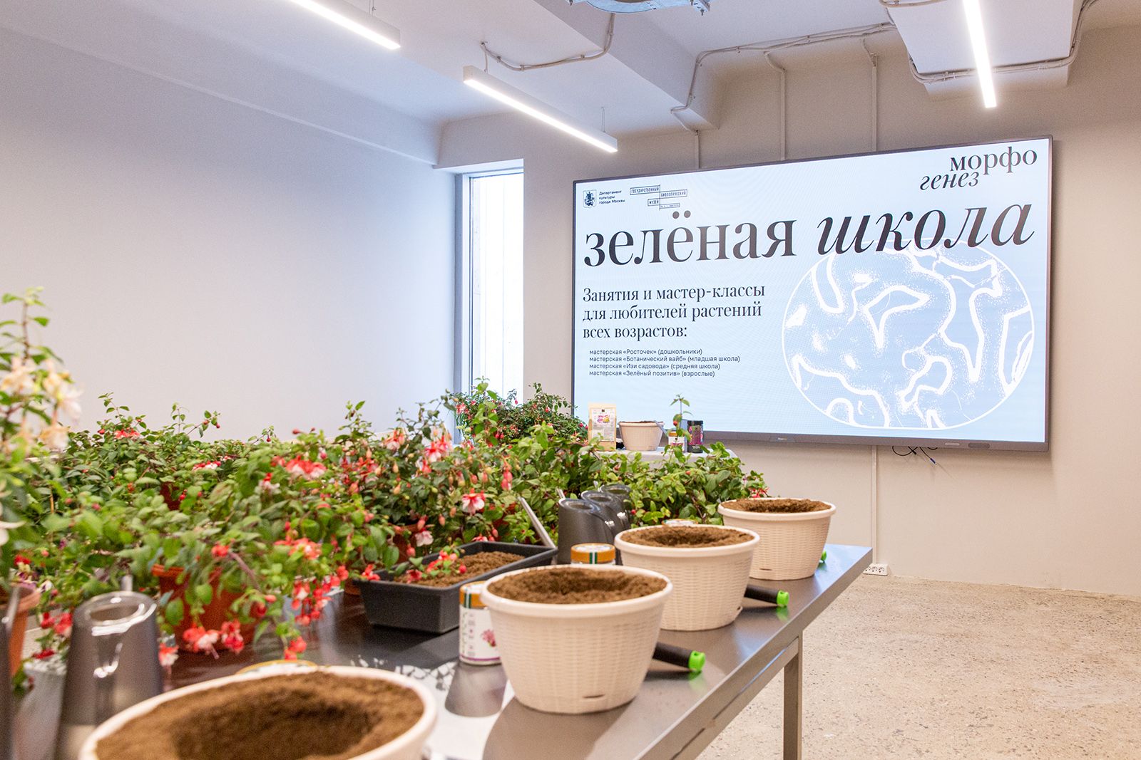 В «Биокластере» проведут инклюзивные занятия к Международному дню слепых, фото