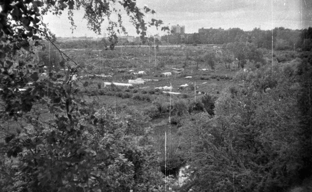 Давыдково — Аминьевская: панельный бублик у оскароносного леса  фото