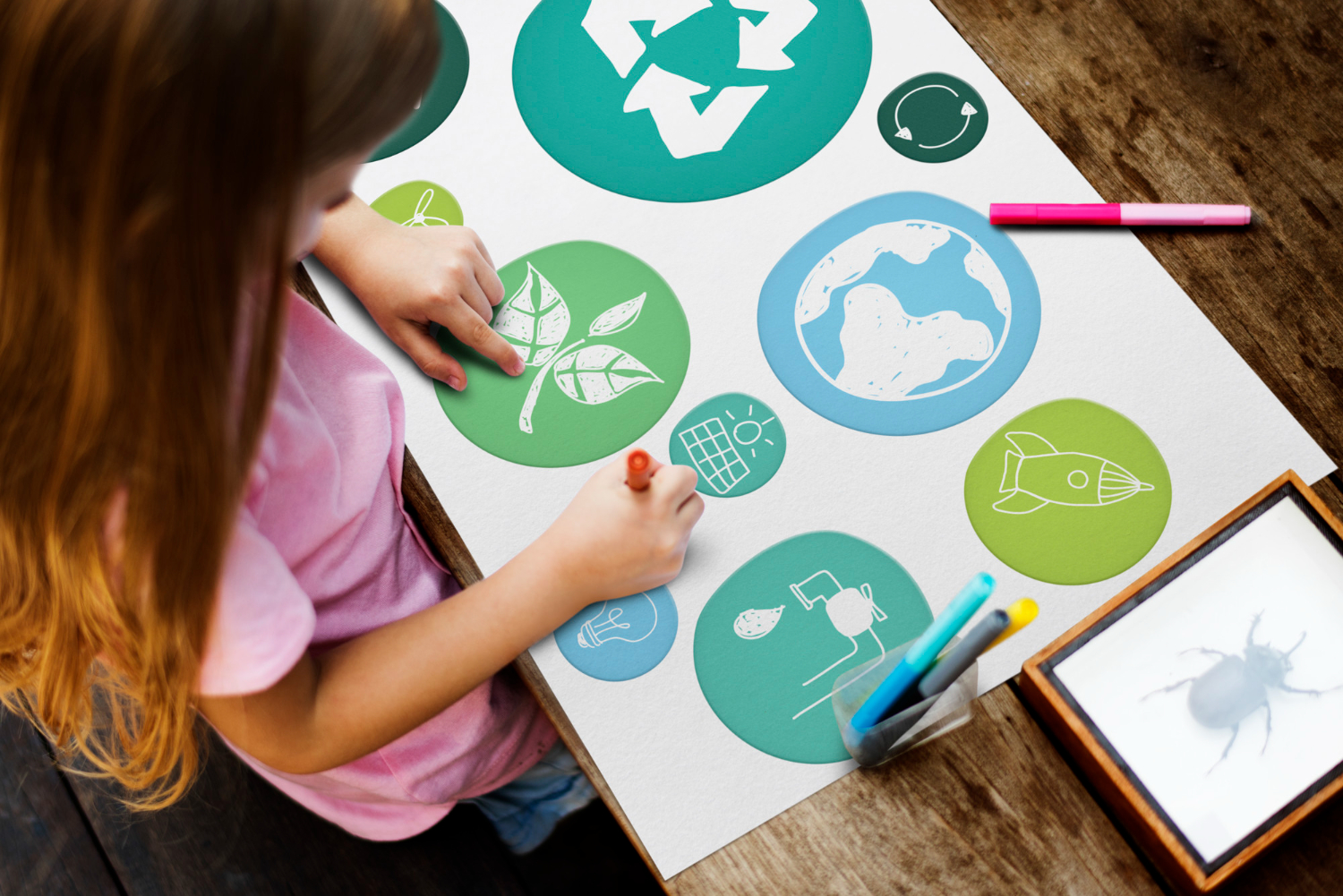 Экофестиваль пройдет в Зеленограде, фото