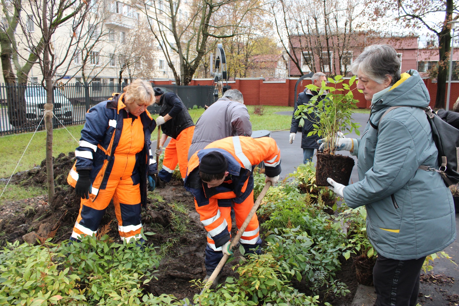 Более 160 деревьев и кустарников украсили ландшафт Хамовников, фото
