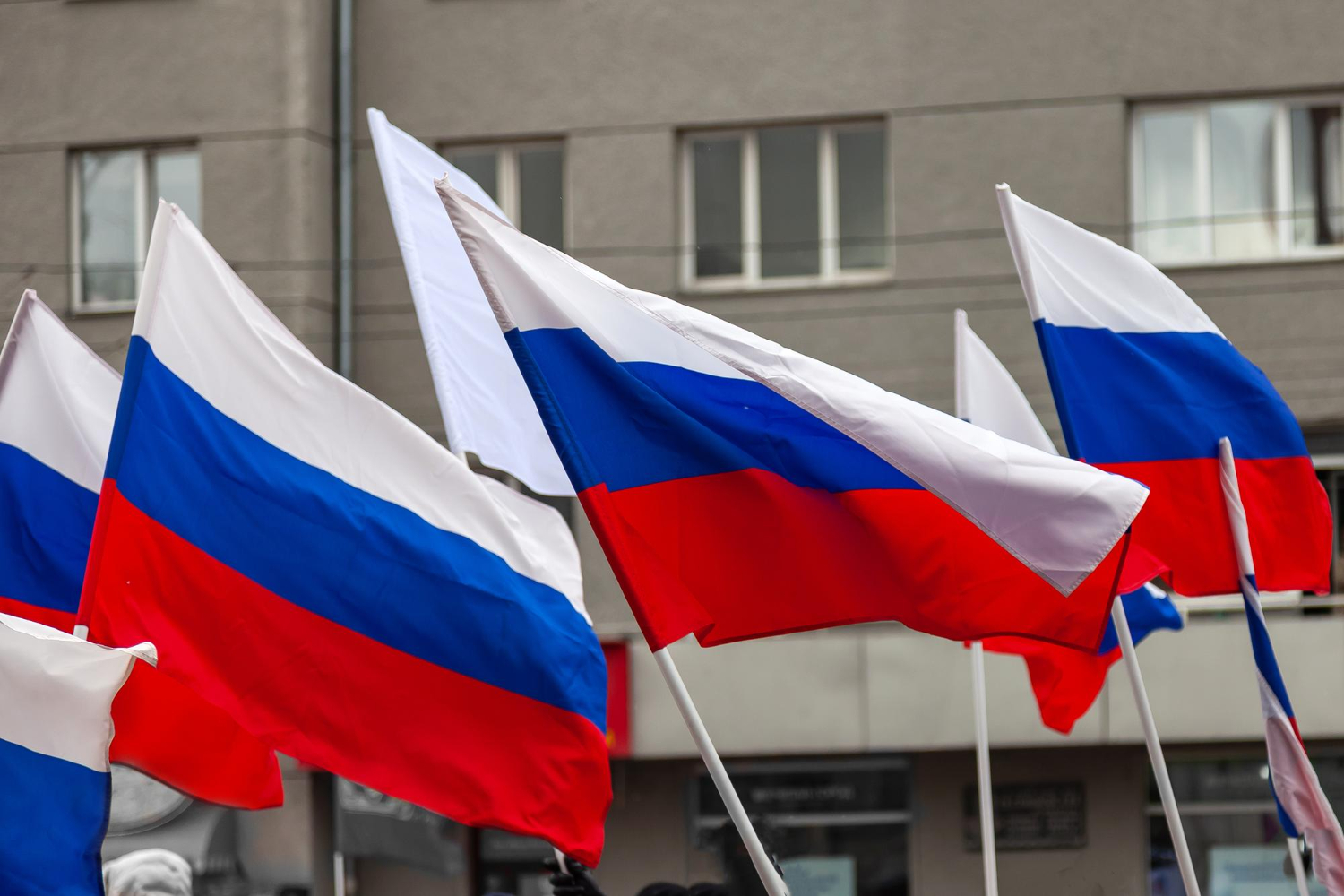 Лекцию и викторину ко Дню Конституции проведут в библиотеке Марьино, фото