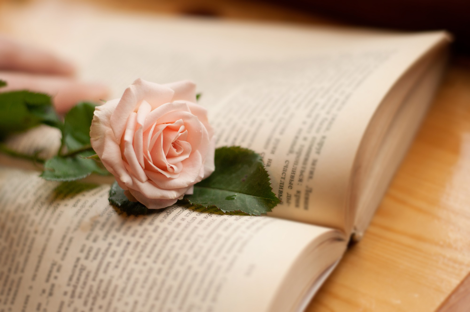 Мастер декламации прочитает стихи Даниила Хармса на творческой встрече в районе Аэропорт, фото