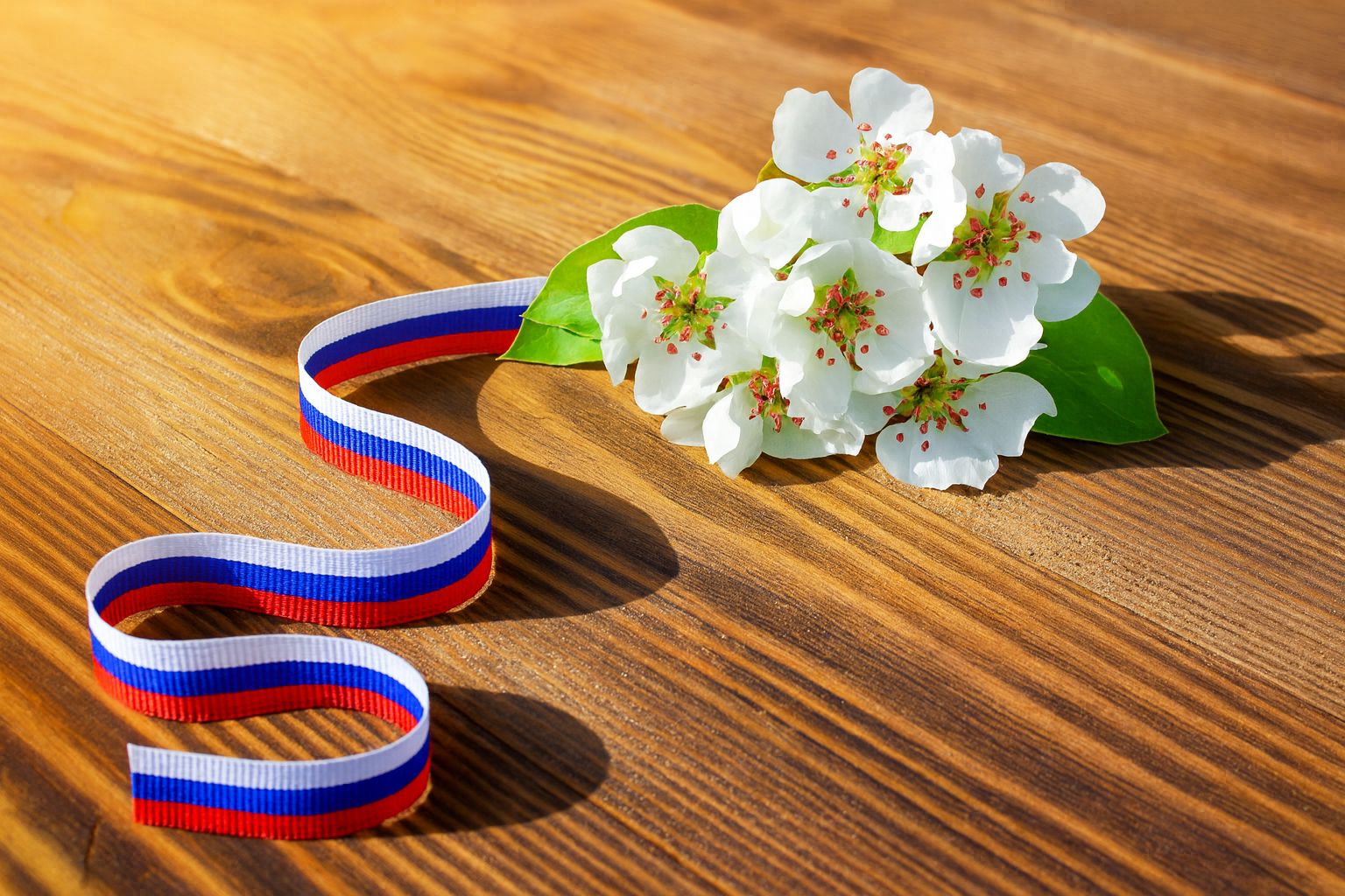 В районе Покровское-Стрешнево отметят День Конституции, фото