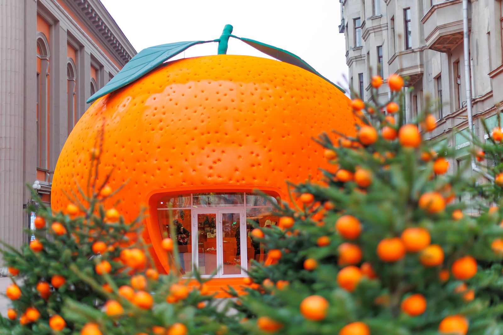 Чудо-елка и мандариновые весы: проект «Зима в Москве» превратил Арбат в главную новогоднюю площадку, фото