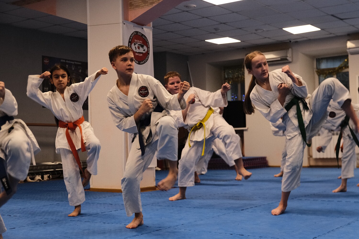 Юные каратисты поборются за Кубок префекта Восточного округа, фото